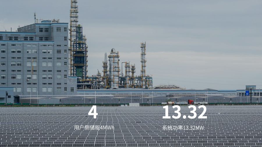 上海浦东-巴斯夫 化工行业项目